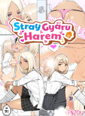 stray-gyaru-harem-official.webp