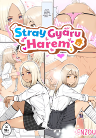 stray-gyaru-harem-official.webp
